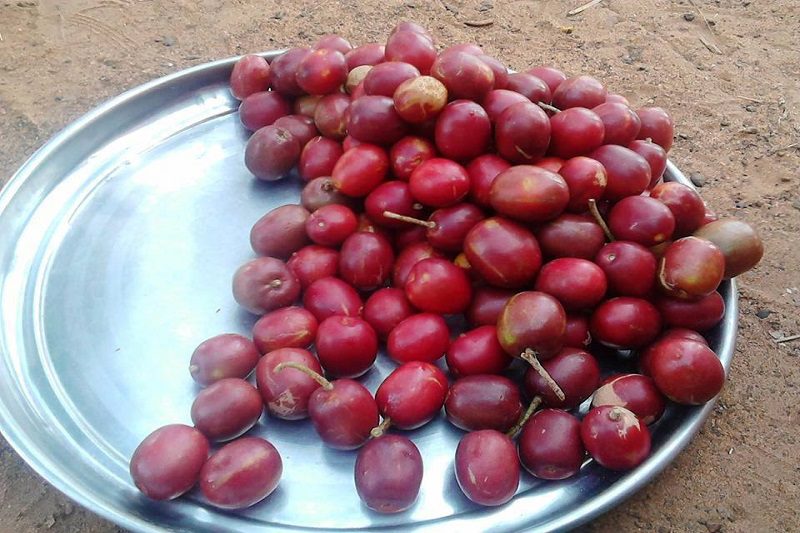 La région regorge de fruits locaux aux arômes naturels et à la saveur incomparable